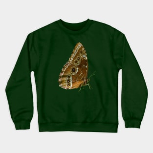 Beautiful Butterfly Wings of Meadow Brown Isolated Crewneck Sweatshirt
